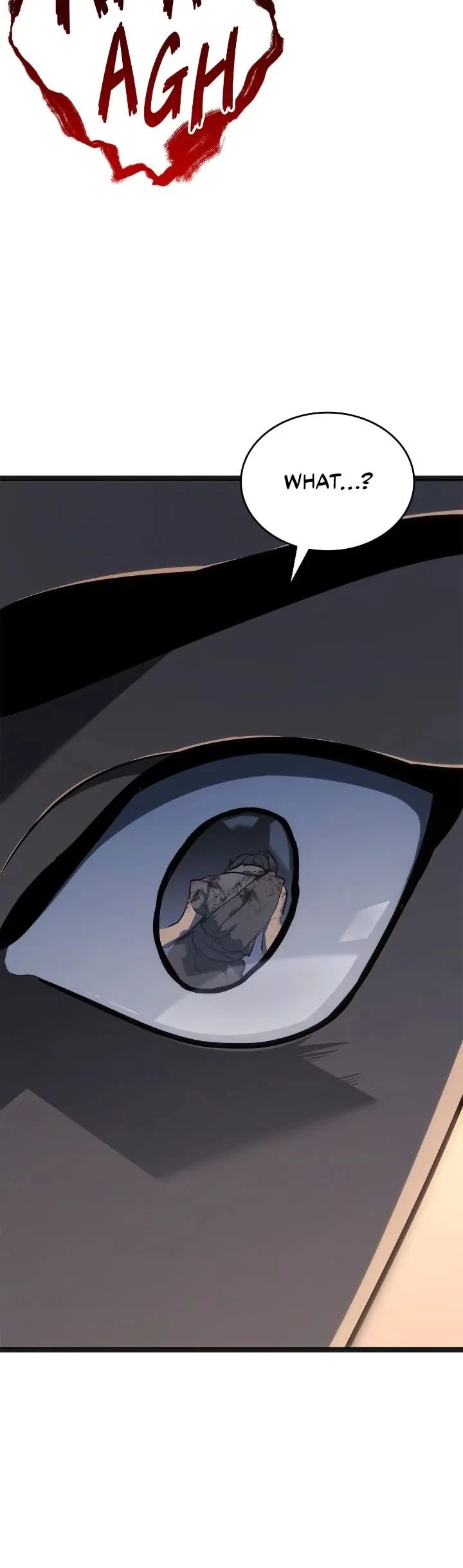 Reaper of the Drifting Moon Chapter 60 - 10
