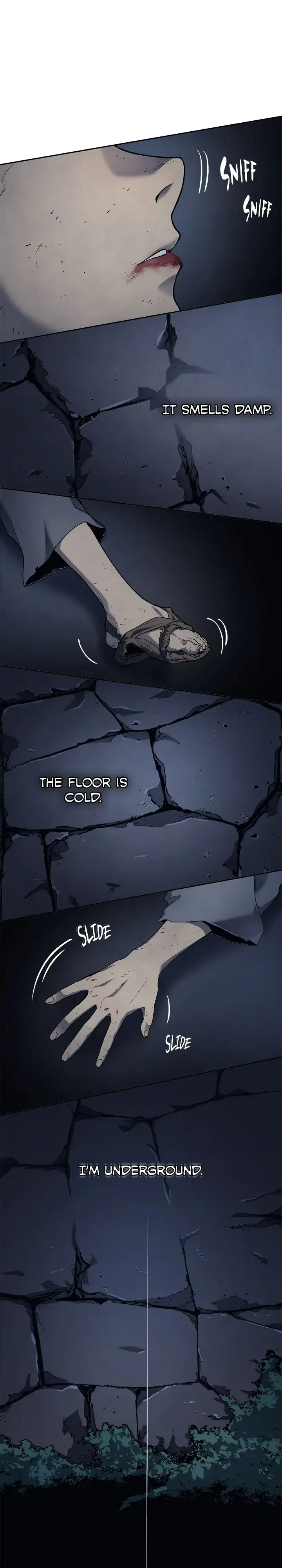 Reaper of the Drifting Moon Chapter 1 - 32