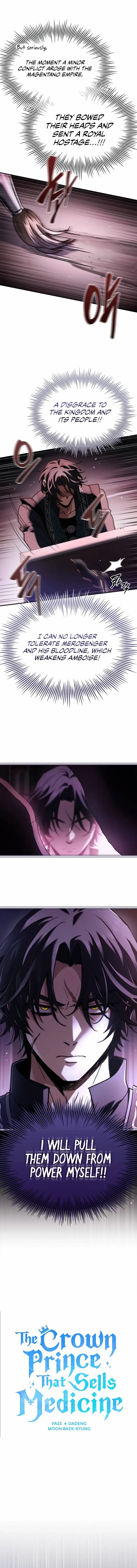 The Crown Prince That Sells Medicine Chapter 64 - 2