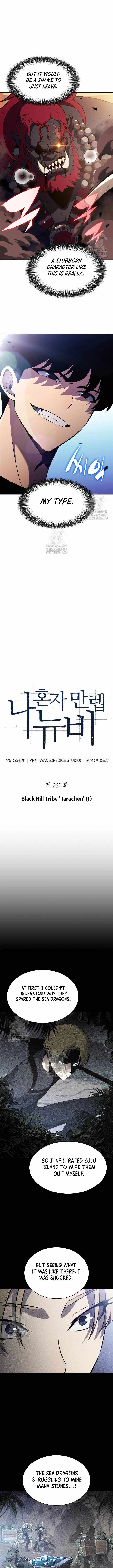 I’m the Max-Level Newbie Chapter 230 - 4