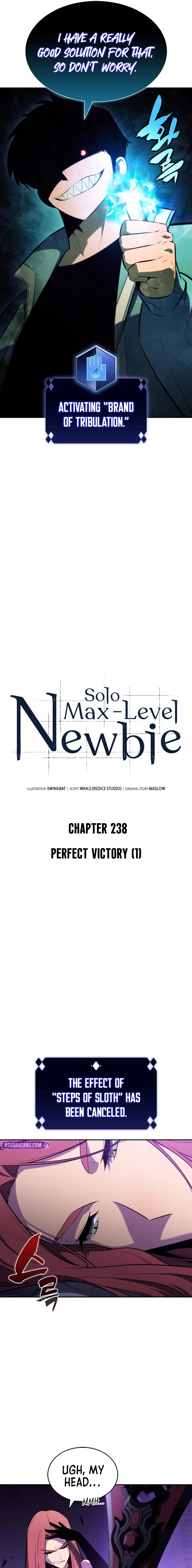 I’m the Max-Level Newbie Chapter 238 - 5