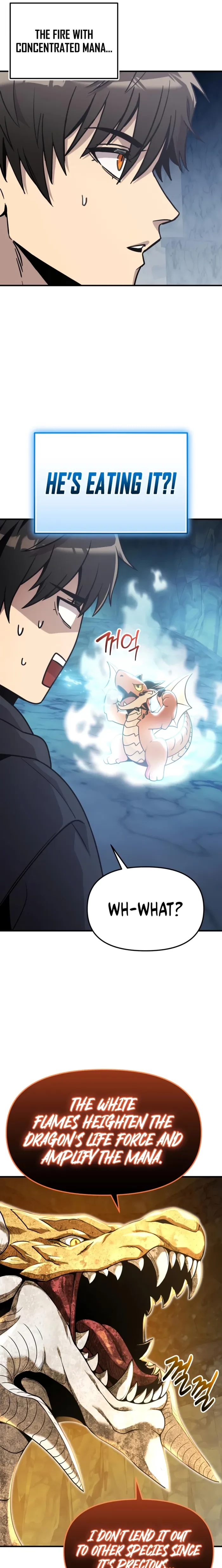 Mythic Item Obtained Chapter 163 - 21