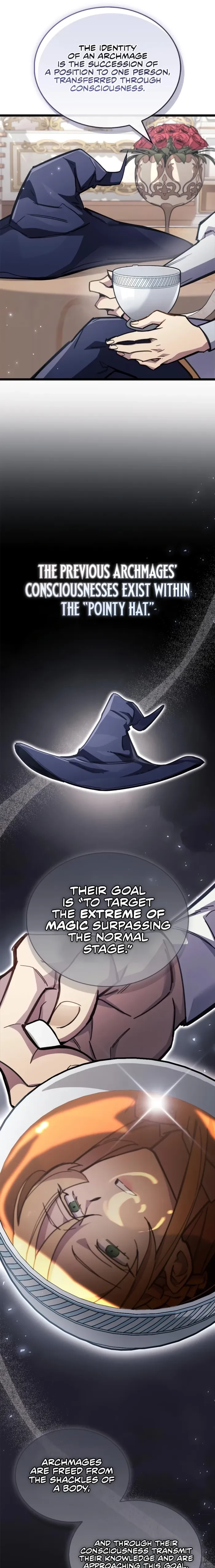 The Player Hides His Past Chapter 107 - 8