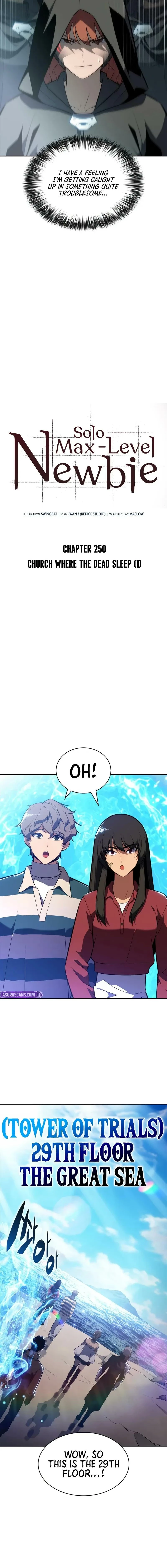 I’m the Max-Level Newbie Chapter 250 - 10