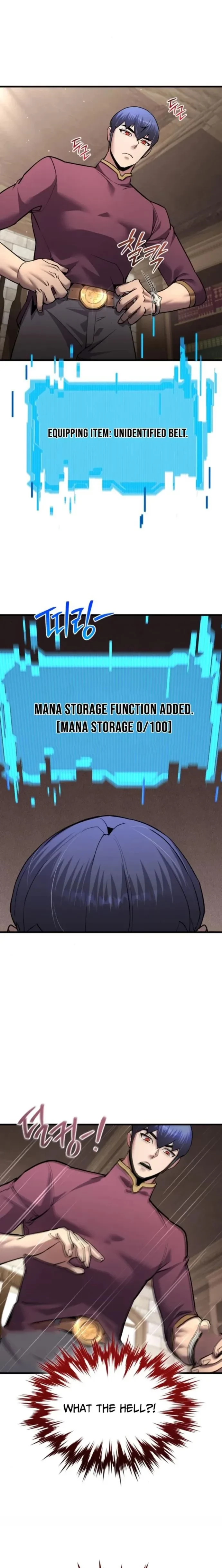 The Genius Mage Who Uses His Fists Chapter 52 - 9