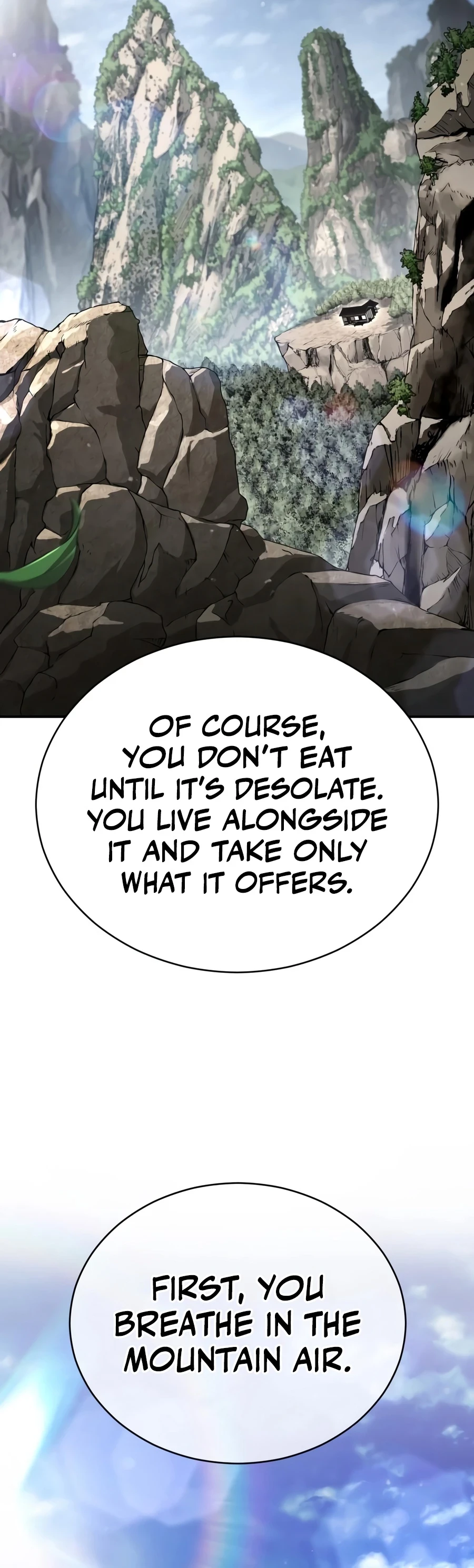 Reincarnation of the Fist King Chapter 63 - 14