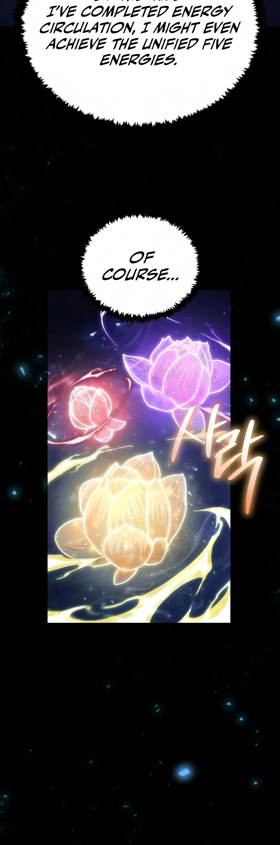 Reincarnation of the Fist King Chapter 65 - 16