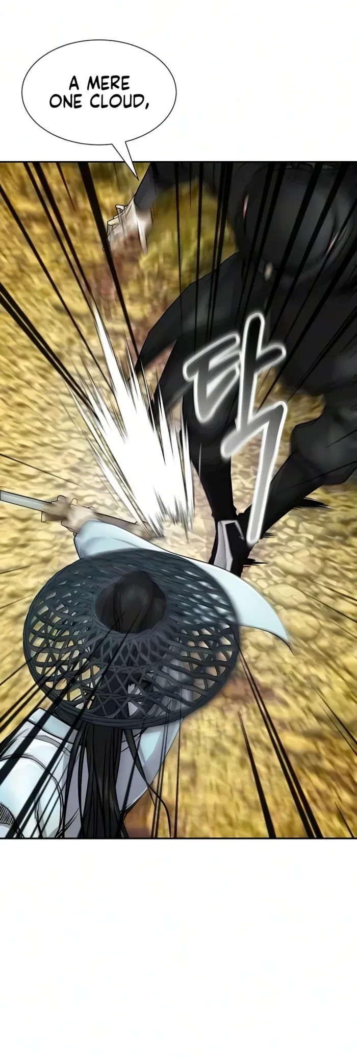 The Sword Emperor’s Rise of Namgung Chapter 14 - 14
