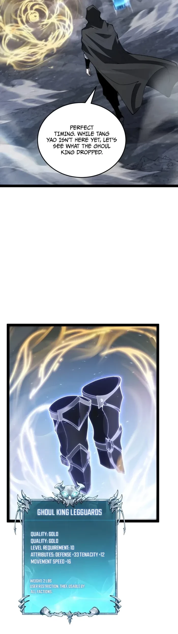 Rebirth of the Thief Who Roamed the World Chapter 46 - 4