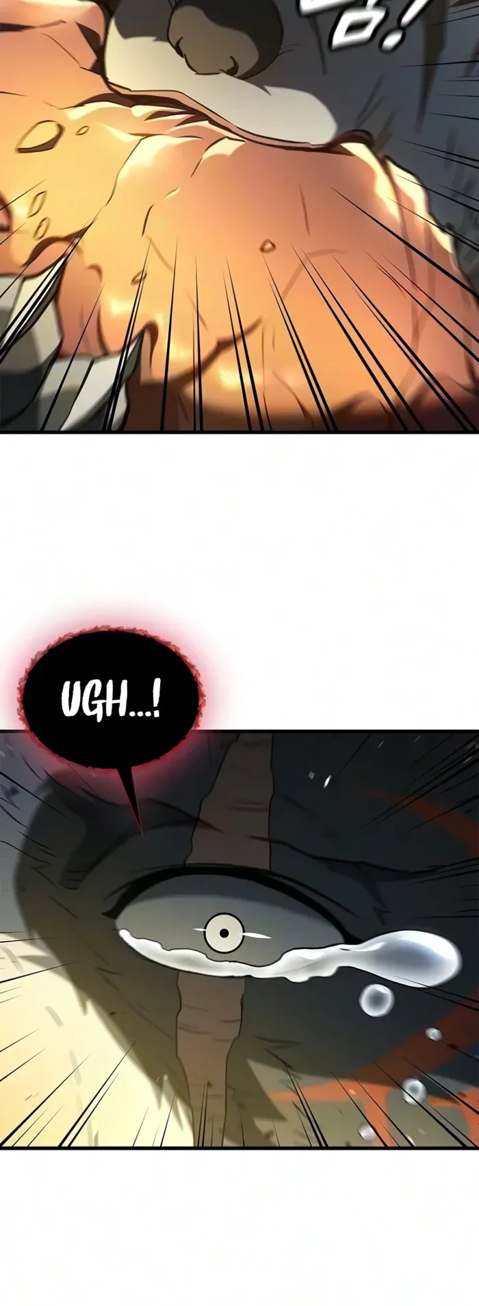 Demonic Beast Hunter Survival Guide Chapter 36 - 2