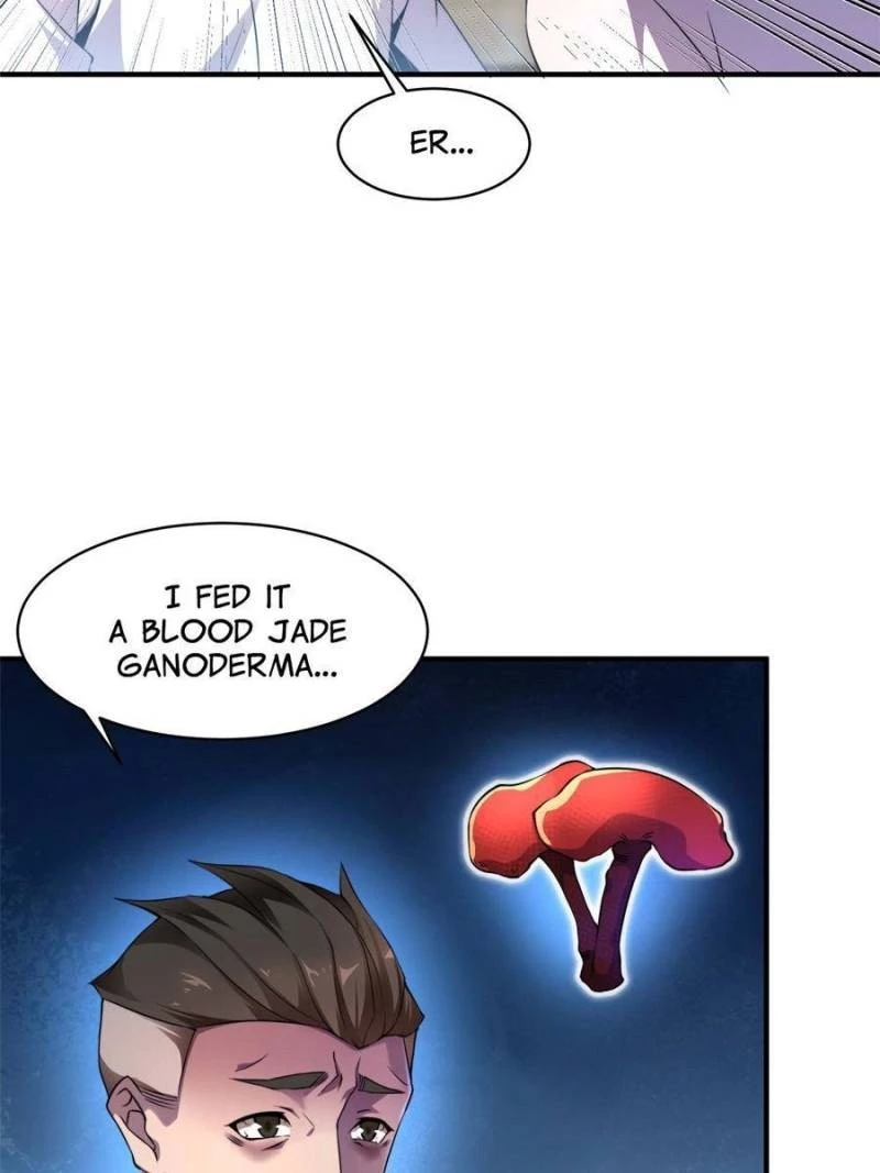 Monster Pet Evolution Chapter 11 - 13