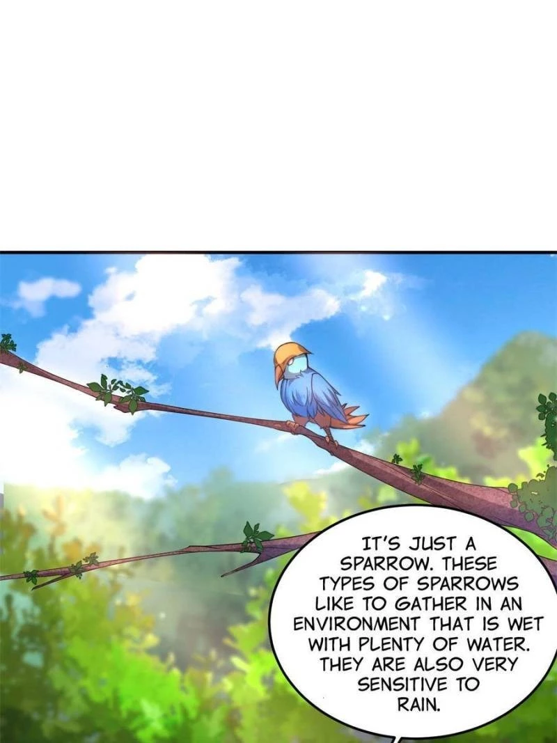 Monster Pet Evolution Chapter 31 - 37