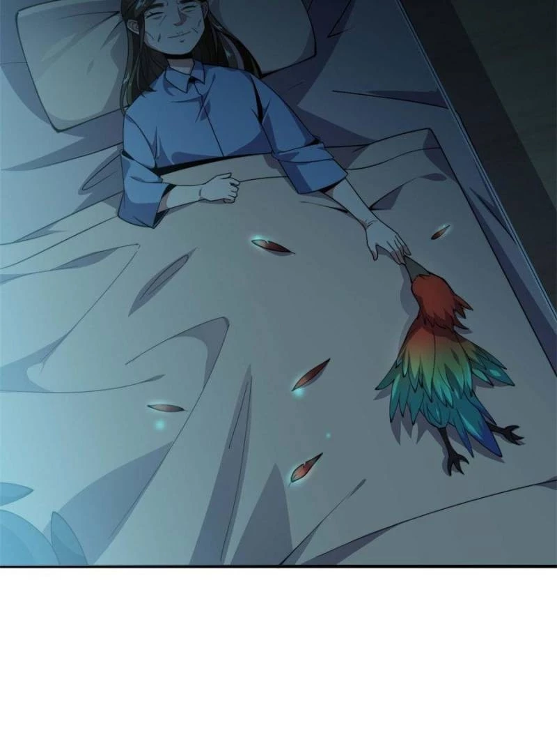 Monster Pet Evolution Chapter 41 - 65