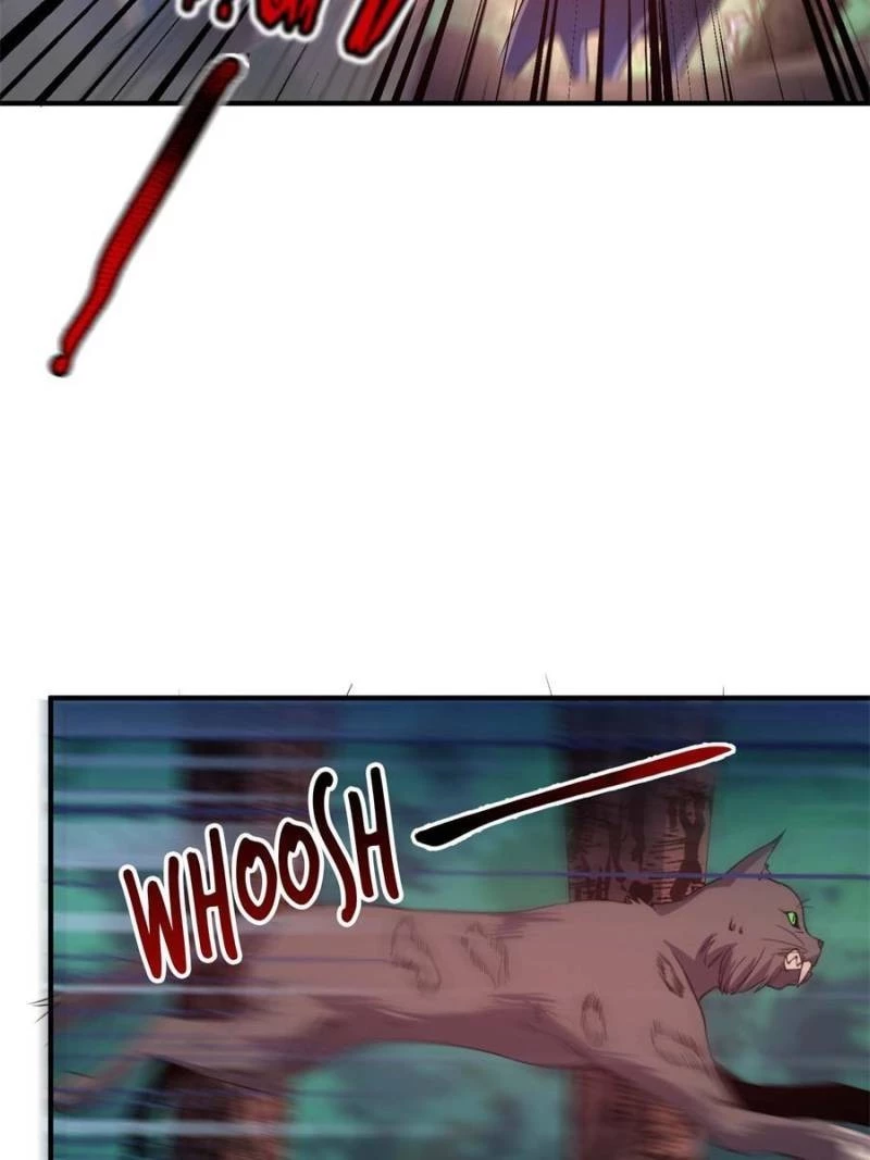 Monster Pet Evolution Chapter 47 - 38