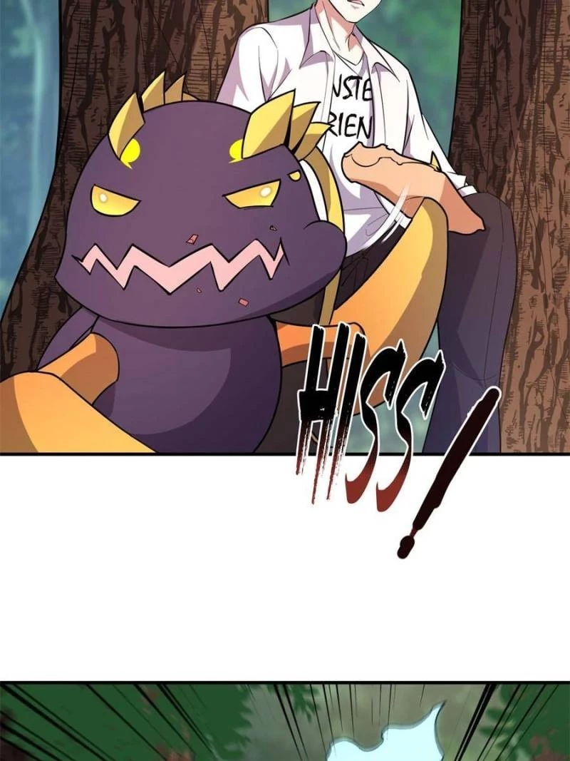 Monster Pet Evolution Chapter 55 - 45