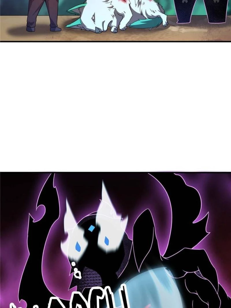 Monster Pet Evolution Chapter 93 - 74