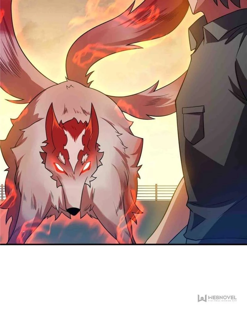 Monster Pet Evolution Chapter 129 - 40