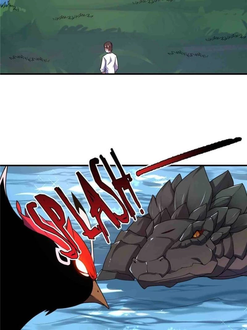 Monster Pet Evolution Chapter 135 - 40