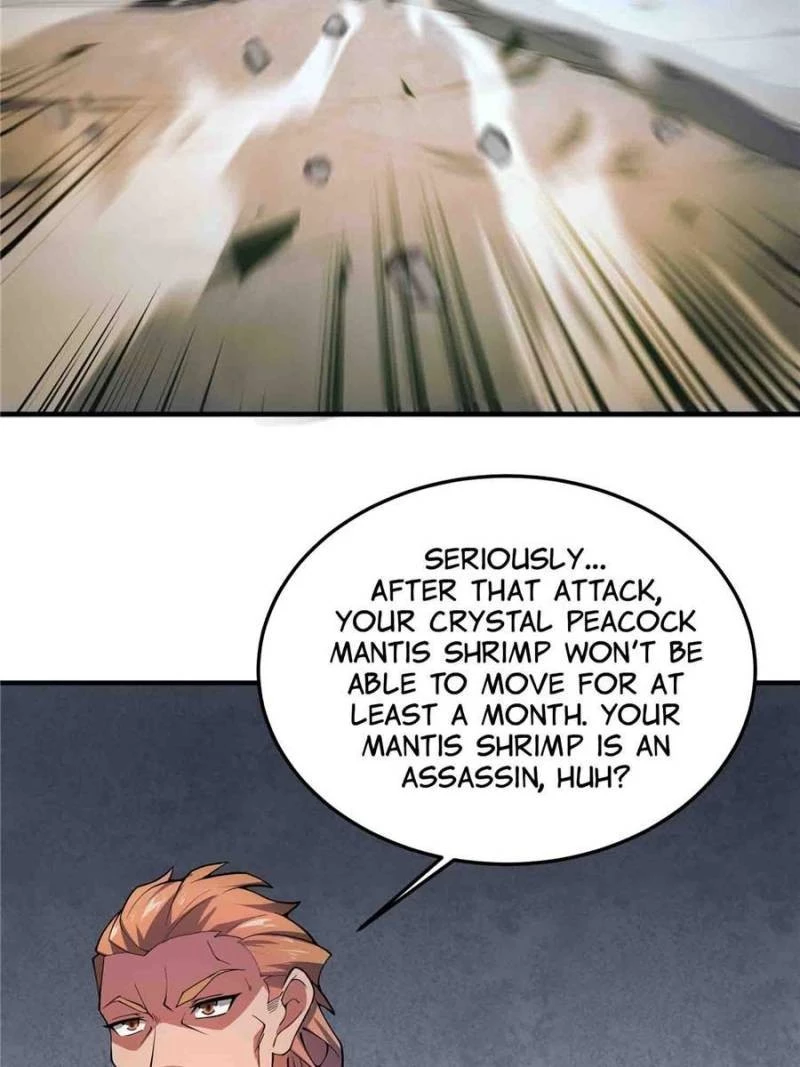 Monster Pet Evolution Chapter 137 - 13