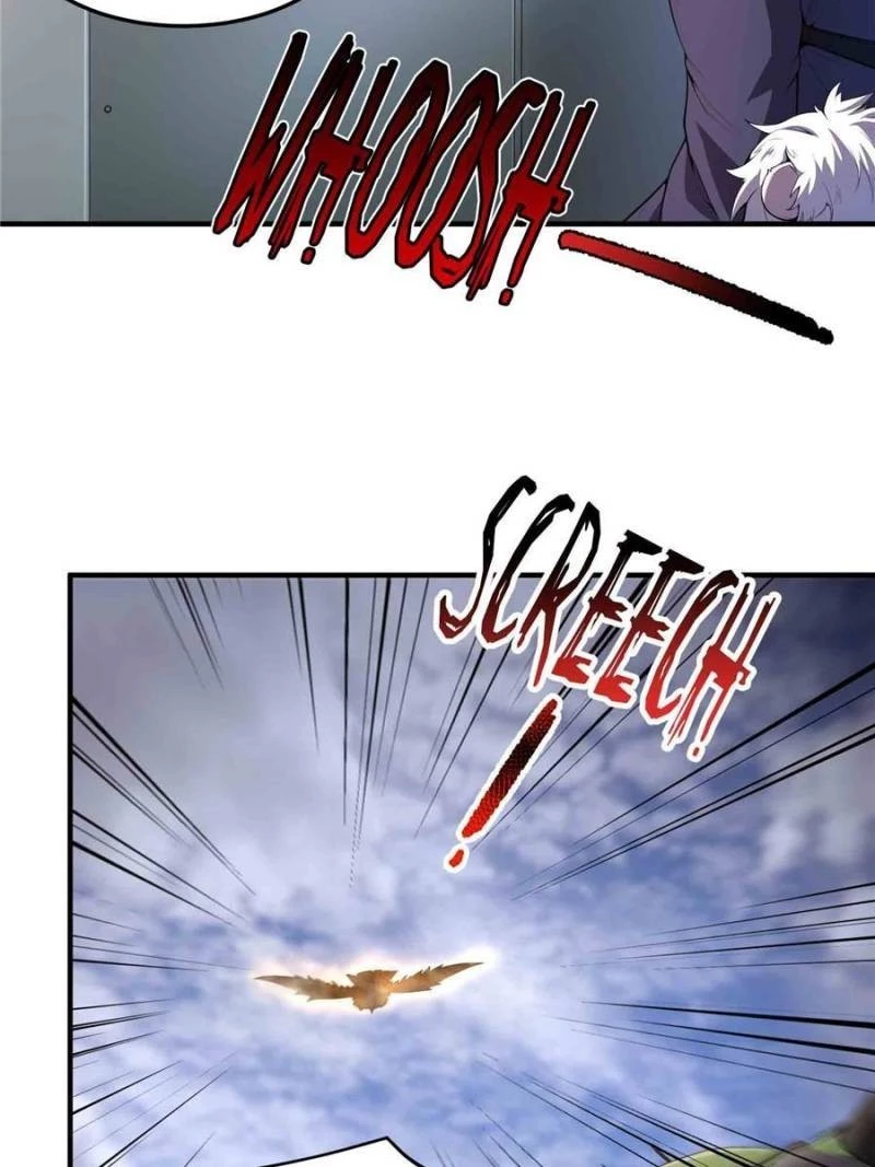 Monster Pet Evolution Chapter 166 - 13