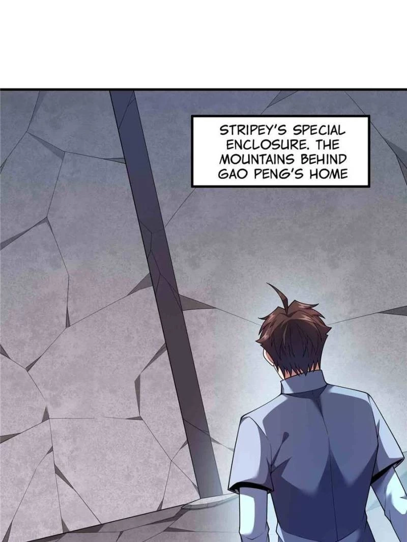Monster Pet Evolution Chapter 168 - 1