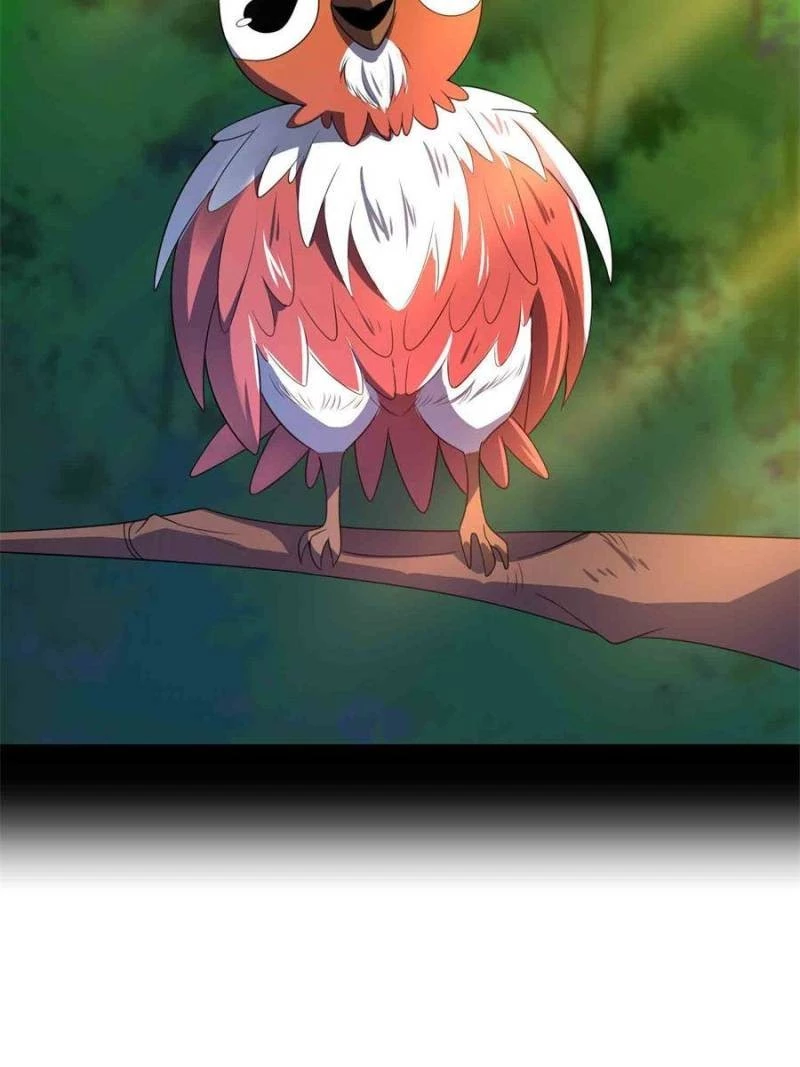 Monster Pet Evolution Chapter 176 - 68