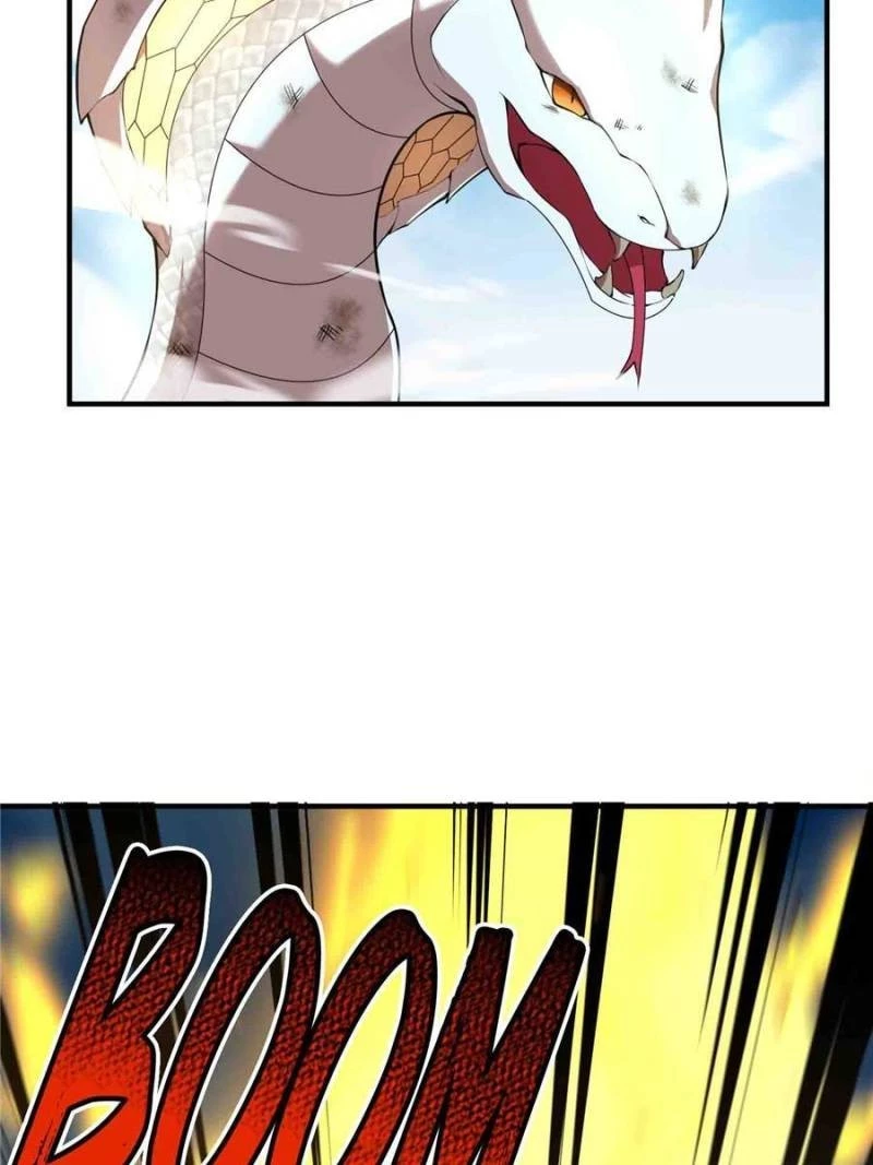Monster Pet Evolution Chapter 197 - 67