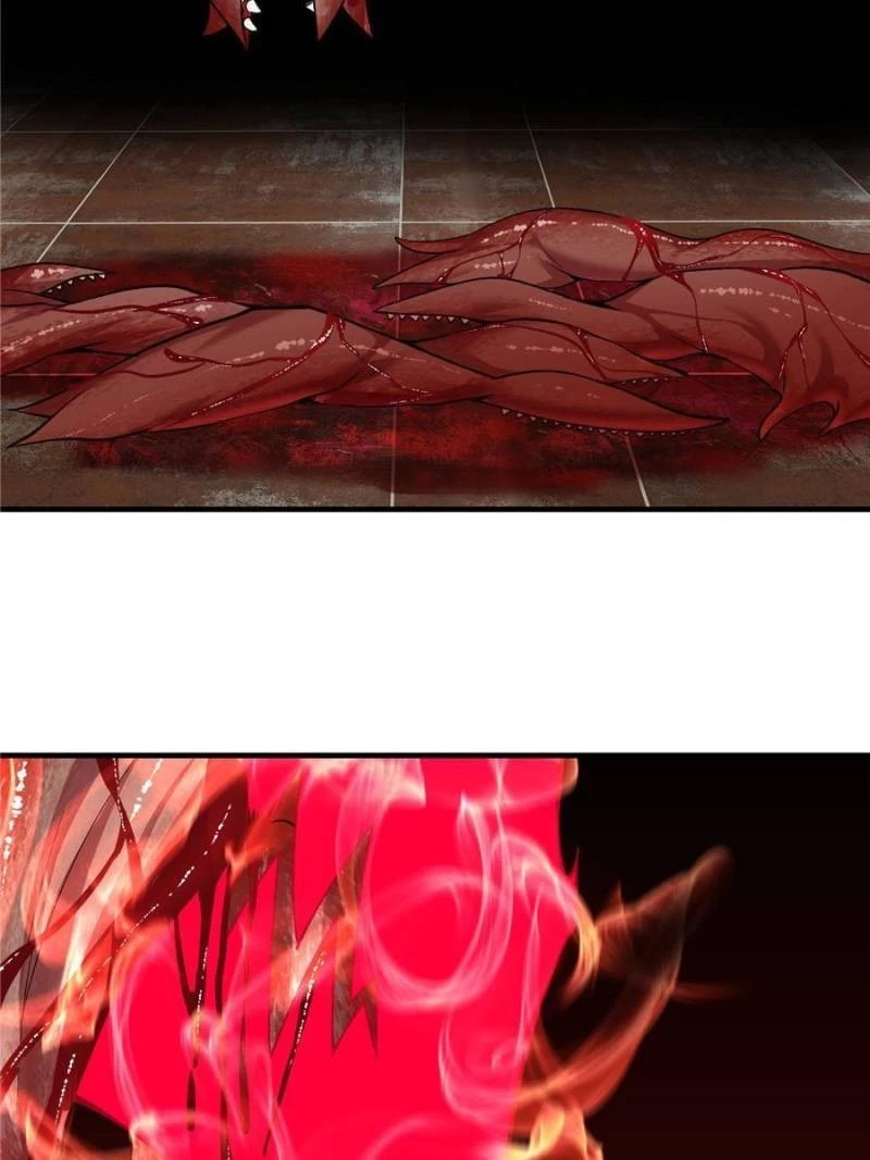I Picked up an Attribute Chapter 203 - 3