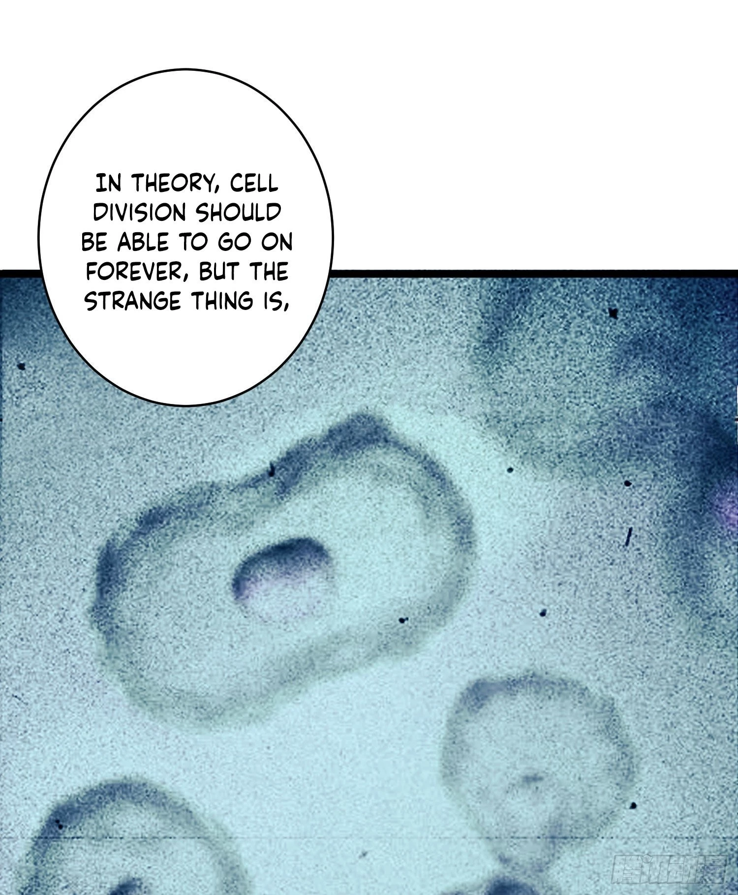 The First Sequence Chapter 39 - 53