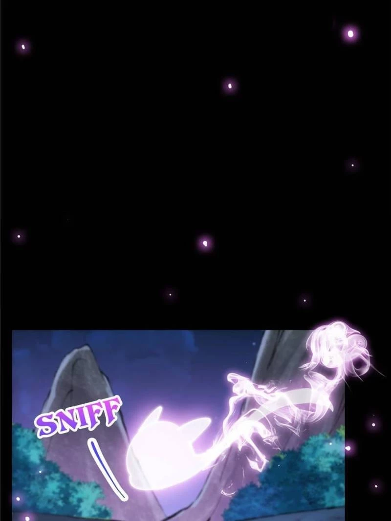 Keep a Low Profile, Sect Leader Chapter 45 - 5