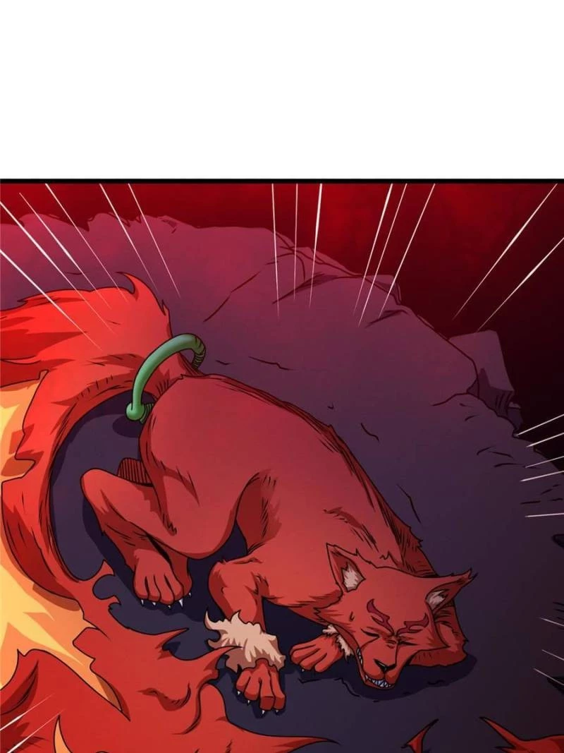 Astral Pet Store Chapter 26 - 68