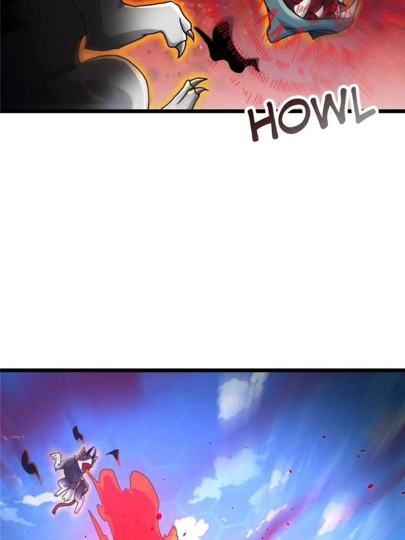 Astral Pet Store Chapter 29 - 49