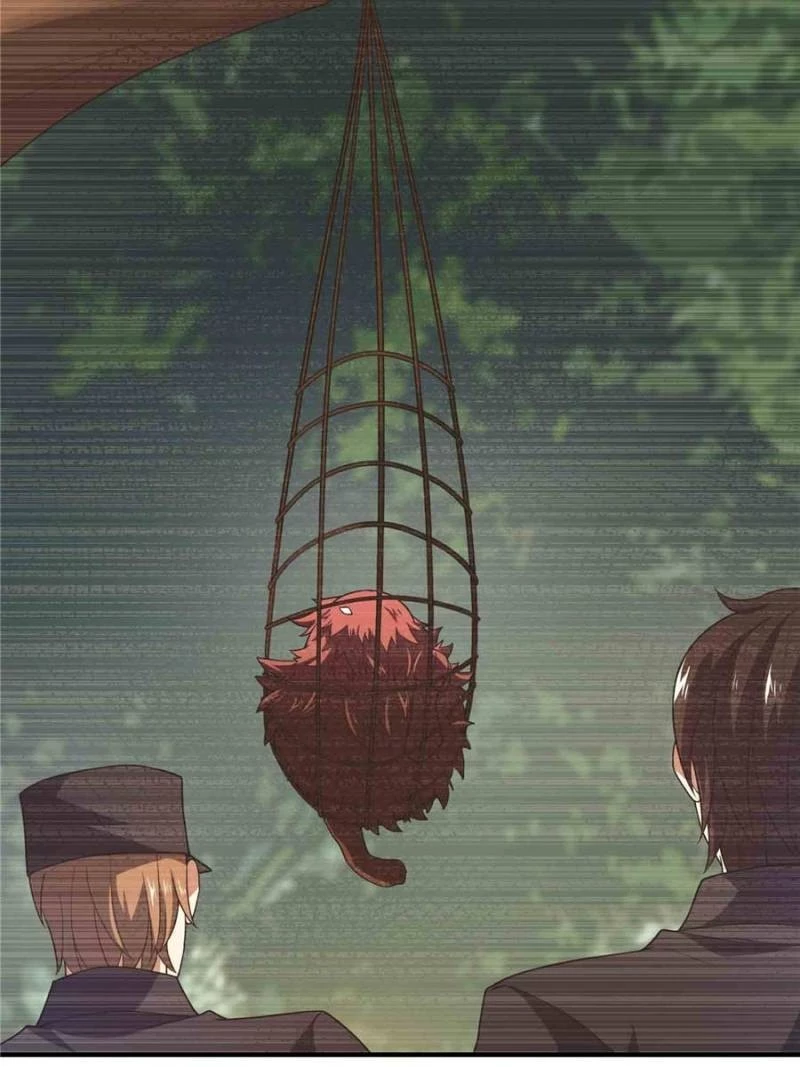 Monster Pet Evolution Chapter 118.1 - 14