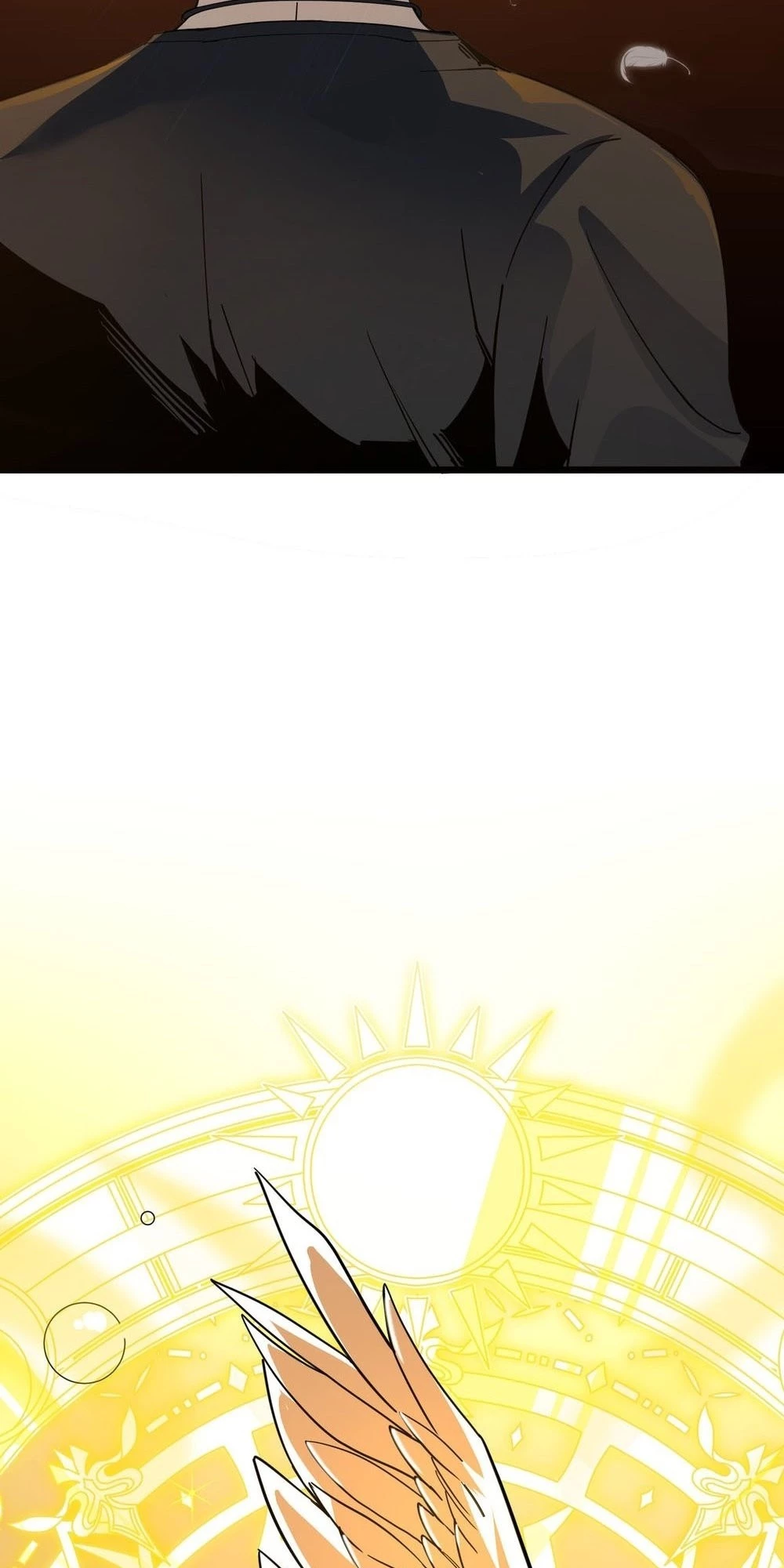 SSS-Rank Paladin Who Transcends Common Sense Chapter 1 - 75