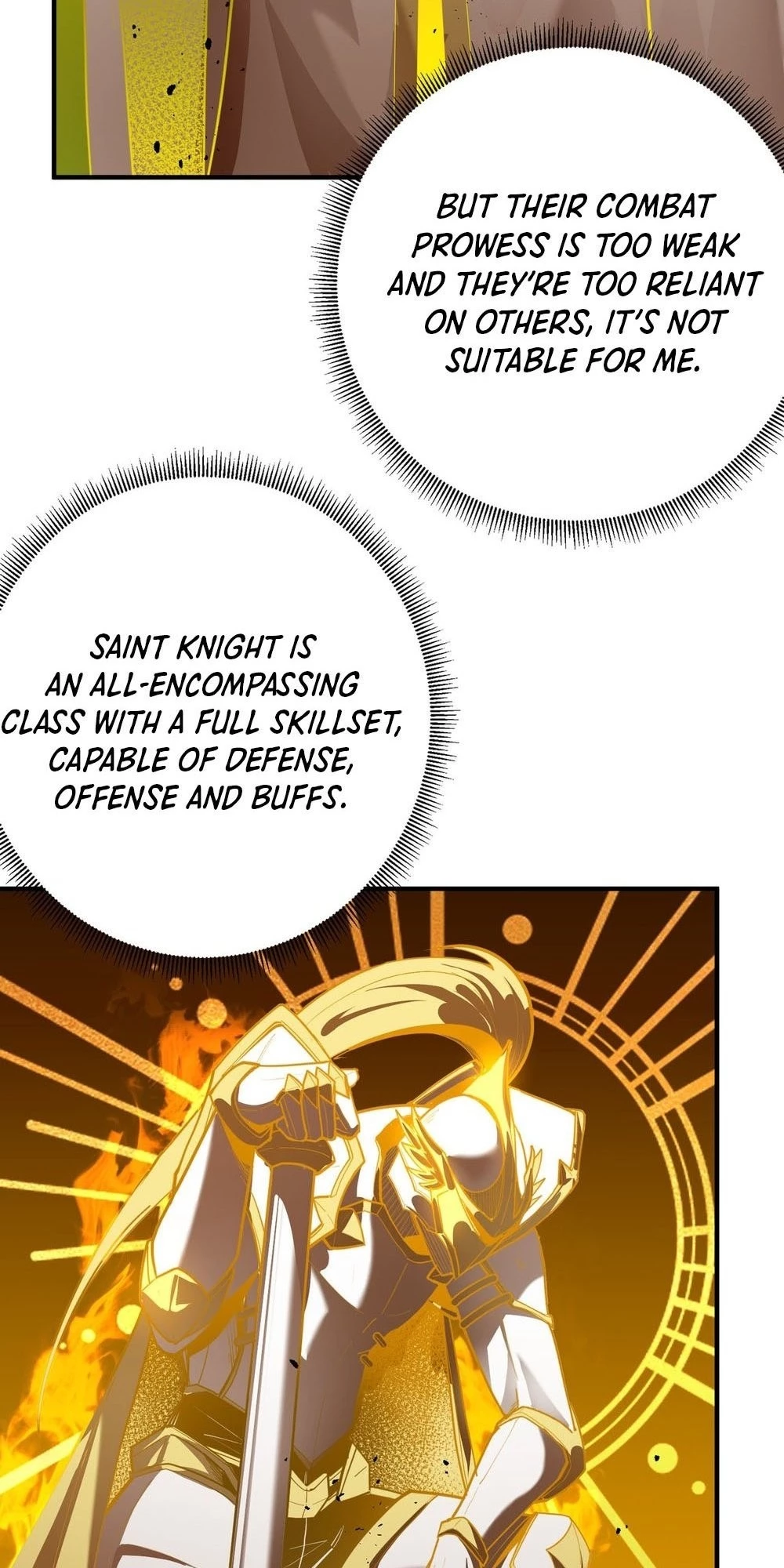 SSS-Rank Paladin Who Transcends Common Sense Chapter 1 - 95