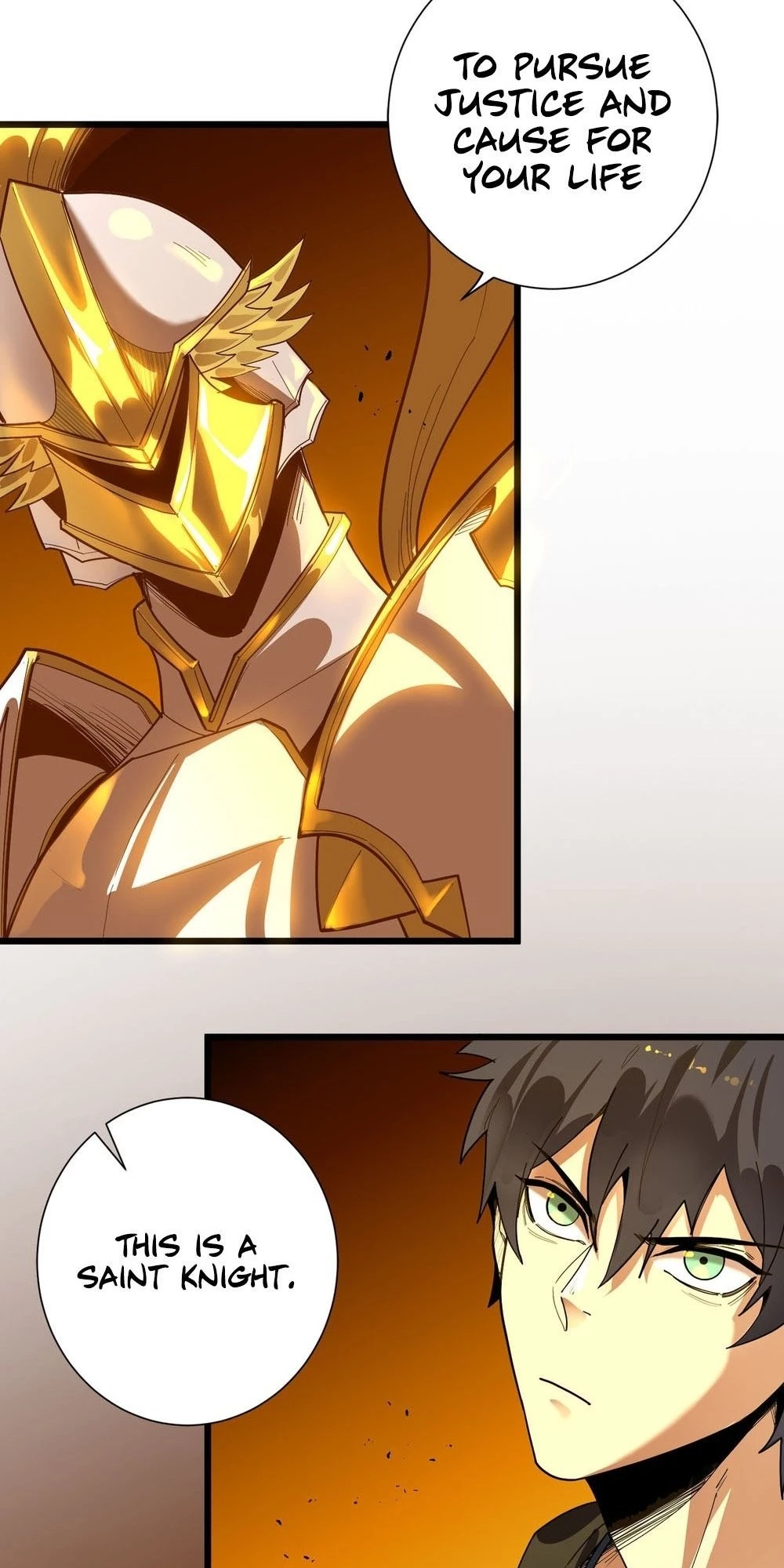 SSS-Rank Paladin Who Transcends Common Sense Chapter 1 - 104